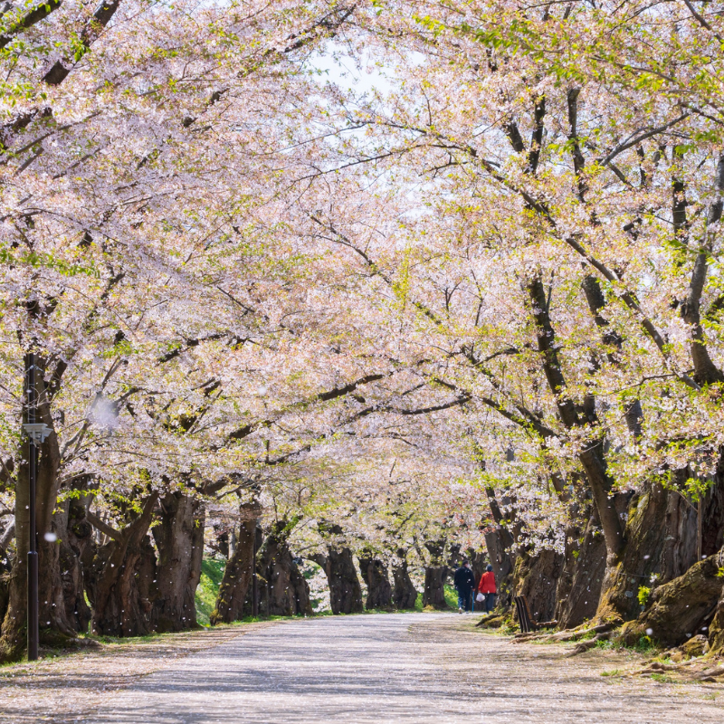 Ueno Park